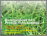 [thumbnail of Warta Ekspor 6 Oktober 2011 .pdf]