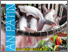 [thumbnail of Warta Ekspor 29 Oktober 2013 .pdf]