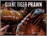 [thumbnail of WE - Giant Tiger Prawn - 30 Mar 2020_1.pdf]
